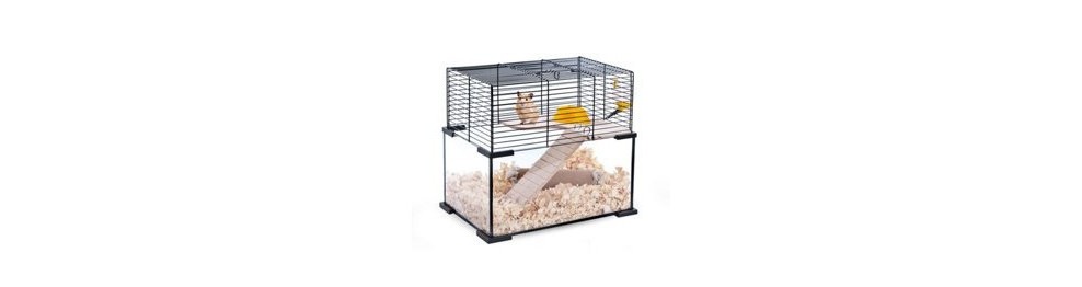 Rodent Cages
