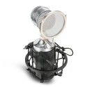 LEIHAO BM - 8000 Professional Condenser Microphone