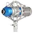 LEIHAO BM - 800 Studio Condenser Recording Microphone