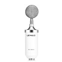 LEIHAO BM - 8000 Professional Condenser Microphone