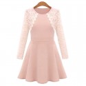 Fresh Style Round Collar Long Sleeve Lace Spliced Color Block A-Line Women's Dress