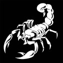 Scorpion Totem Decals Car Stickers Car Styling Vinyl Decal Sticker for Cars Decoration black